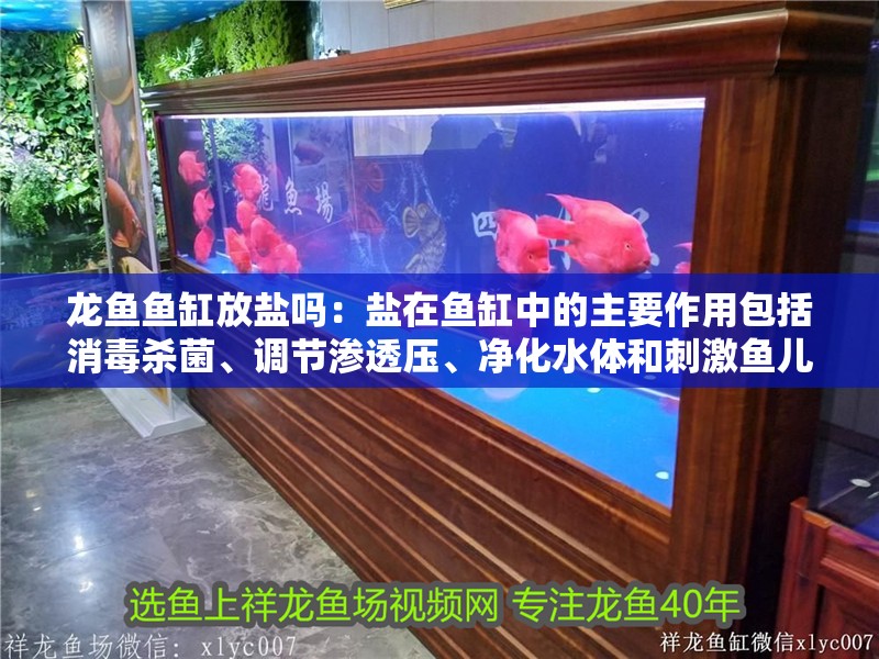龍魚魚缸放鹽嗎：鹽在魚缸中的主要作用包括消毒殺菌、調(diào)節(jié)滲透壓、凈化水體和刺激魚兒的食欲