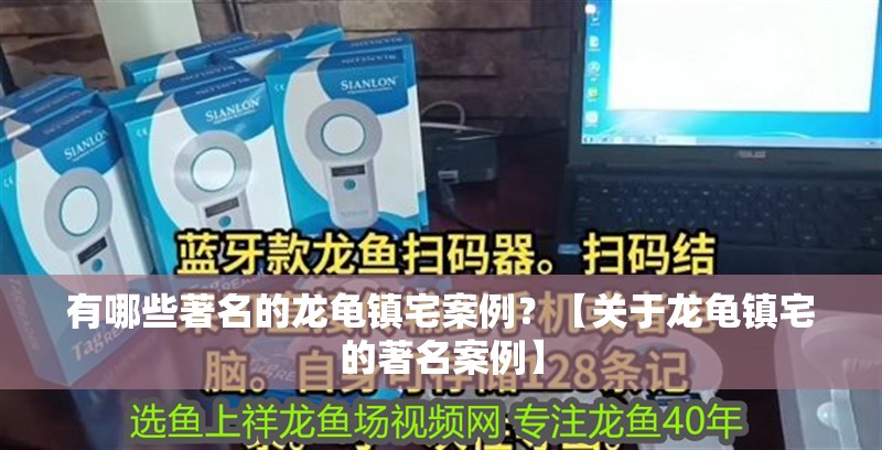 有哪些著名的龍龜鎮宅案例？【關于龍龜鎮宅的著名案例】