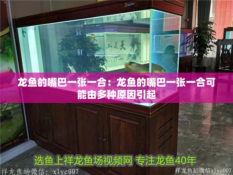龍魚的嘴巴一張一合：龍魚的嘴巴一張一合可能由多種原因引起