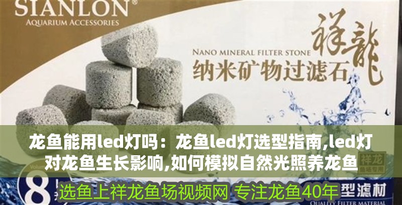 龍魚能用led燈嗎：龍魚led燈選型指南,led燈對龍魚生長影響,如何模擬自然光照養龍魚