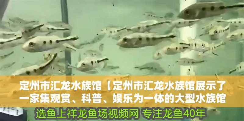 定州市匯龍水族館【定州市匯龍水族館展示了一家集觀賞、科普、娛樂為一體的大型水族館】
