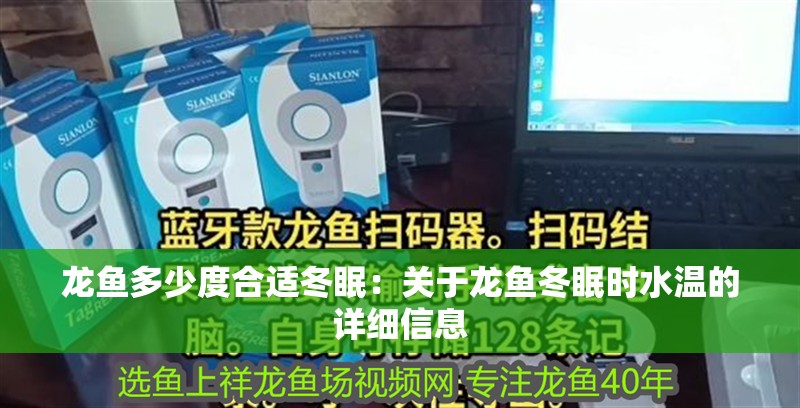 龍魚(yú)多少度合適冬眠：關(guān)于龍魚(yú)冬眠時(shí)水溫的詳細(xì)信息