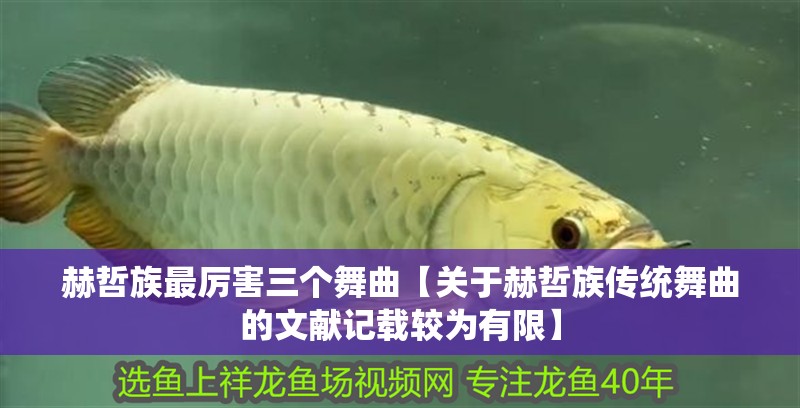 赫哲族最厲害三個舞曲【關于赫哲族傳統舞曲的文獻記載較為有限】