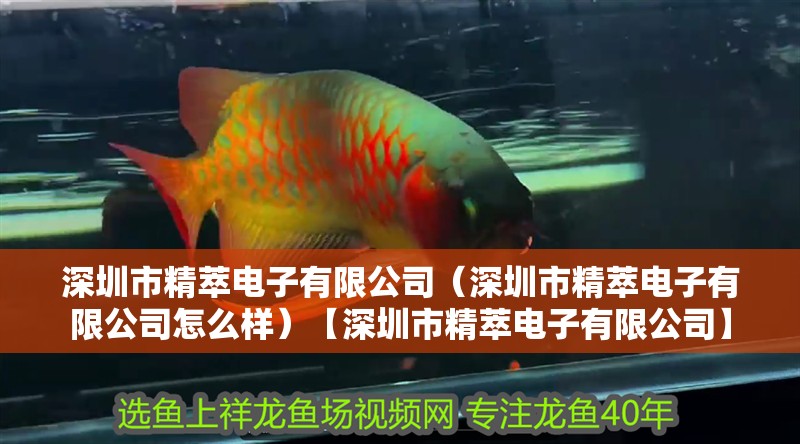 深圳市精萃電子有限公司（深圳市精萃電子有限公司怎么樣）【深圳市精萃電子有限公司】