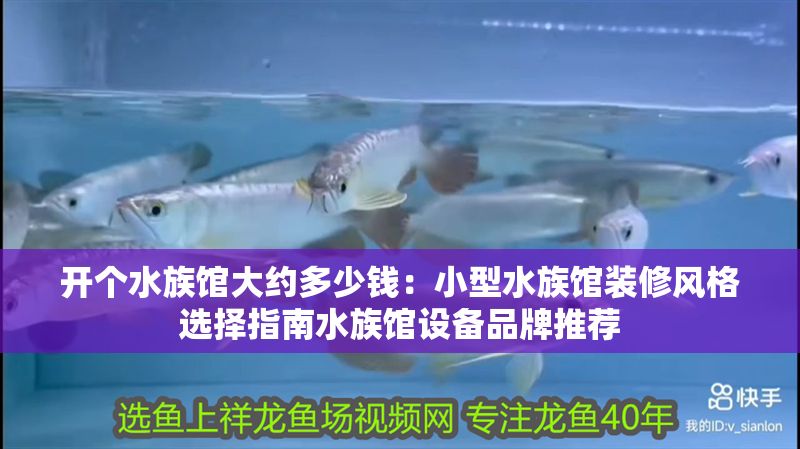 開個水族館大約多少錢：小型水族館裝修風格選擇指南水族館設備品牌推薦
