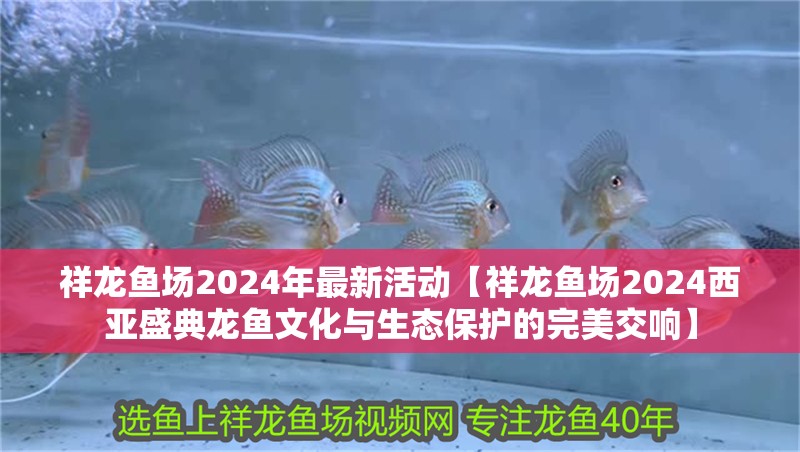 祥龍魚場2024年最新活動【祥龍魚場2024西亞盛典龍魚文化與生態保護的完美交響】