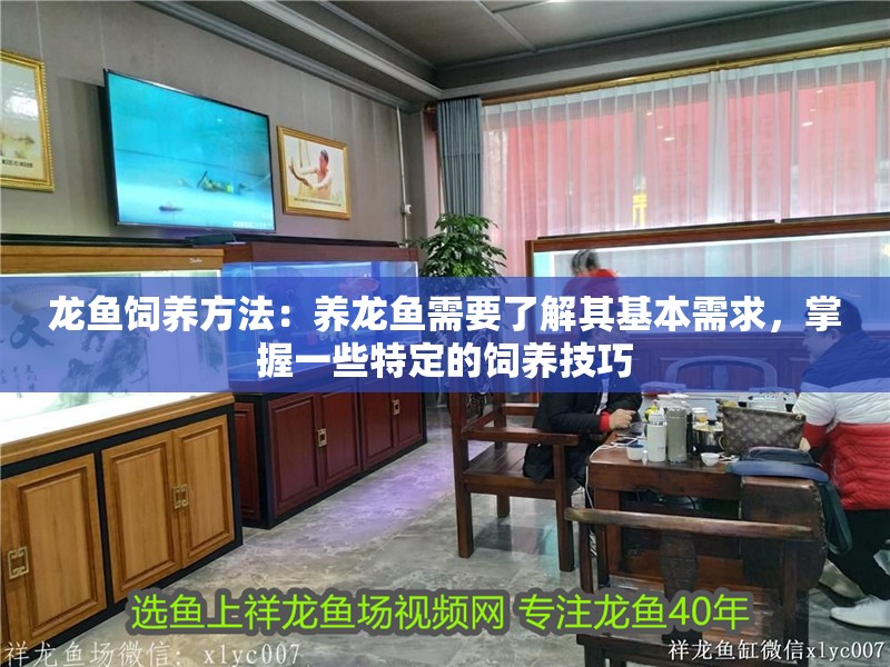 龍魚飼養方法：養龍魚需要了解其基本需求，掌握一些特定的飼養技巧