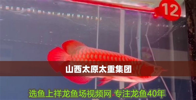 山西太原太重集團