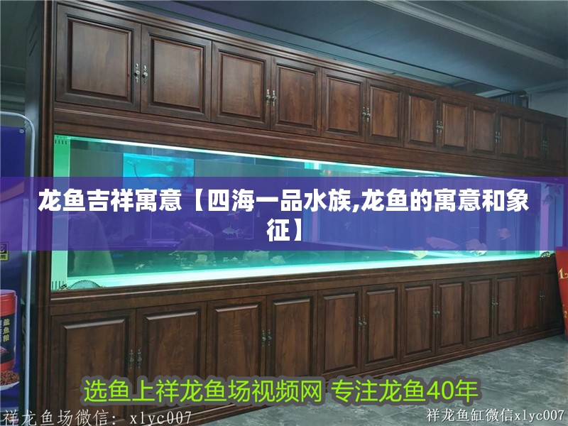 龍魚吉祥寓意【四海一品水族,龍魚的寓意和象征】
