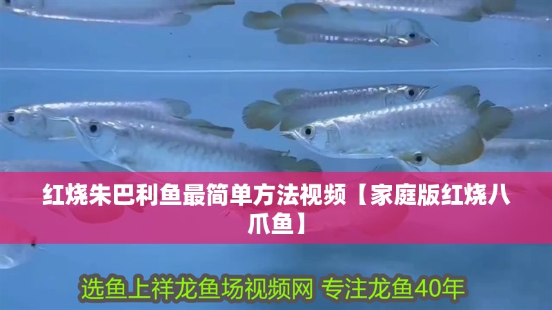 紅燒朱巴利魚最簡單方法視頻【家庭版紅燒八爪魚】