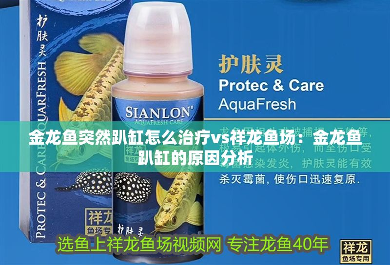 金龍魚突然趴缸怎么治療vs祥龍魚場：金龍魚趴缸的原因分析