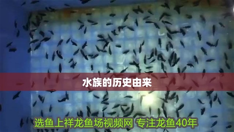 水族的歷史由來