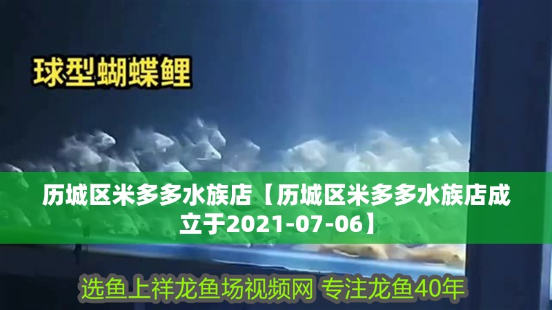 歷城區(qū)米多多水族店【歷城區(qū)米多多水族店成立于2021-07-06】
