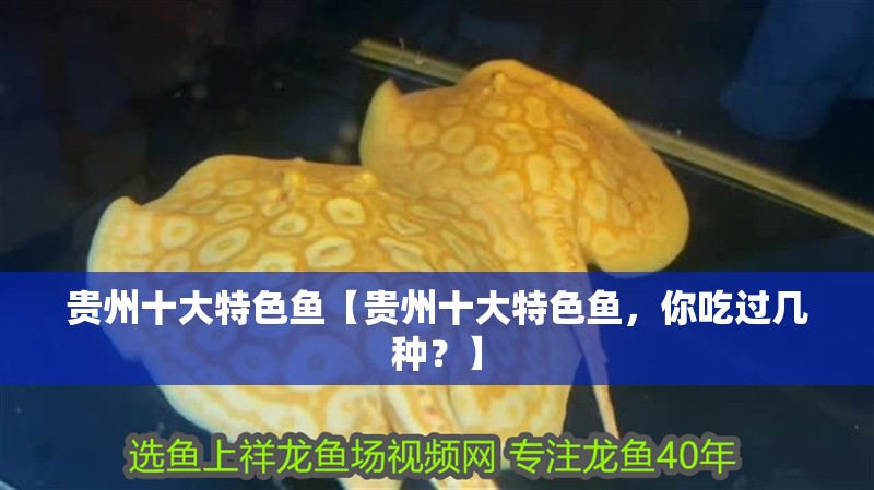 貴州十大特色魚【貴州十大特色魚，你吃過幾種？】