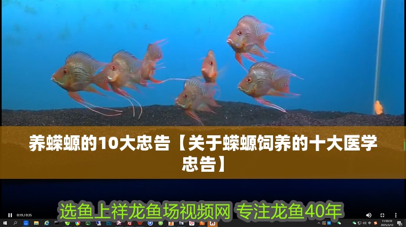 養蠑螈的10大忠告【關于蠑螈飼養的十大醫學忠告】