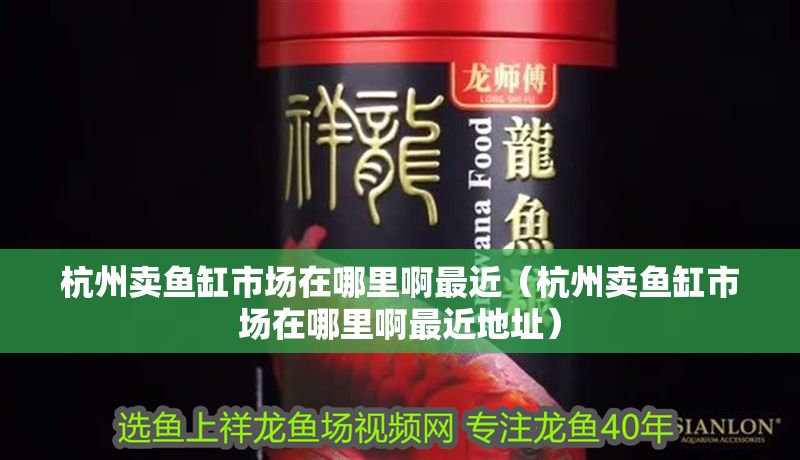 杭州賣魚缸市場在哪里啊最近（杭州賣魚缸市場在哪里啊最近地址）