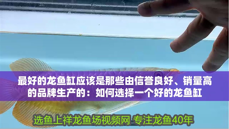 最好的龍魚缸應該是那些由信譽良好、銷量高的品牌生產(chǎn)的：如何選擇一個好的龍魚缸 最好的龍魚缸應該是那些由信譽良好、銷量高的品牌生產(chǎn)的：如何選擇一個好的龍魚缸 龍魚百科