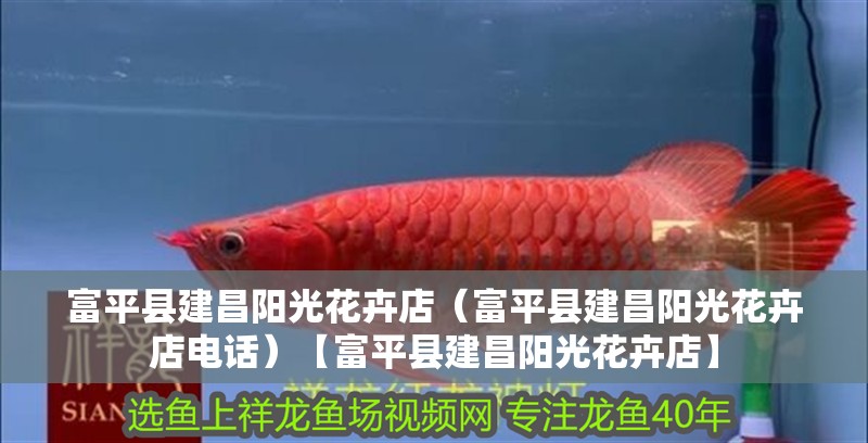 富平縣建昌陽光花卉店（富平縣建昌陽光花卉店電話）【富平縣建昌陽光花卉店】