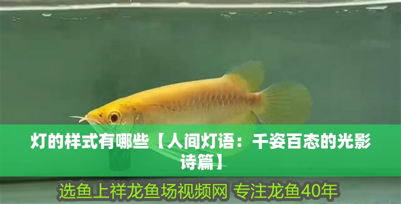 燈的樣式有哪些【人間燈語：千姿百態的光影詩篇】