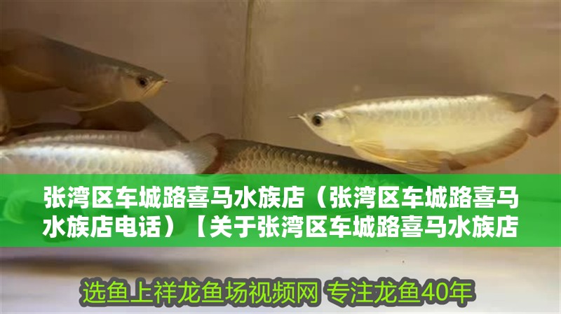 張灣區(qū)車城路喜馬水族店（張灣區(qū)車城路喜馬水族店電話）【關(guān)于張灣區(qū)車城路喜馬水族店的一些常見問題】