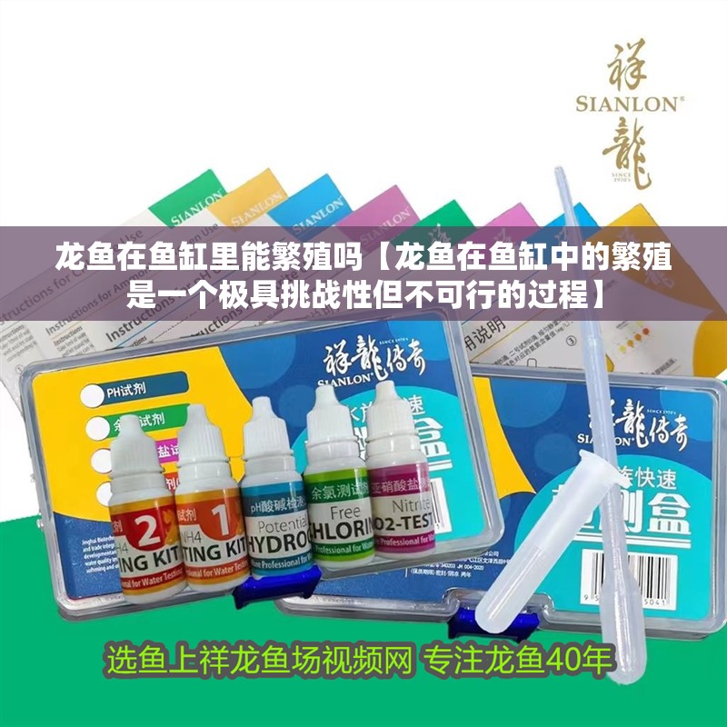 龍魚在魚缸里能繁殖嗎【龍魚在魚缸中的繁殖是一個極具挑戰(zhàn)性但不可行的過程】