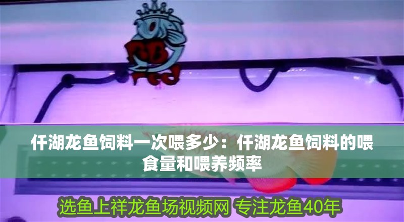 仟湖龍魚飼料一次喂多少：仟湖龍魚飼料的喂食量和喂養頻率