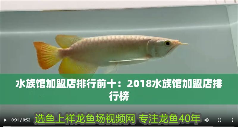 水族館加盟店排行前十：2018水族館加盟店排行榜