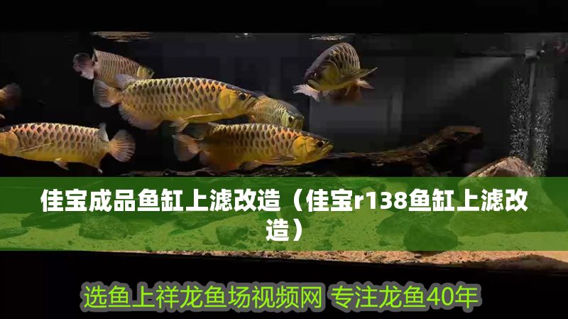 佳寶成品魚缸上濾改造（佳寶r138魚缸上濾改造）