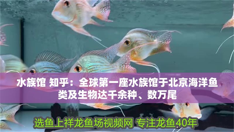 水族館 知乎：全球第一座水族館于北京海洋魚類及生物達千余種、數萬尾