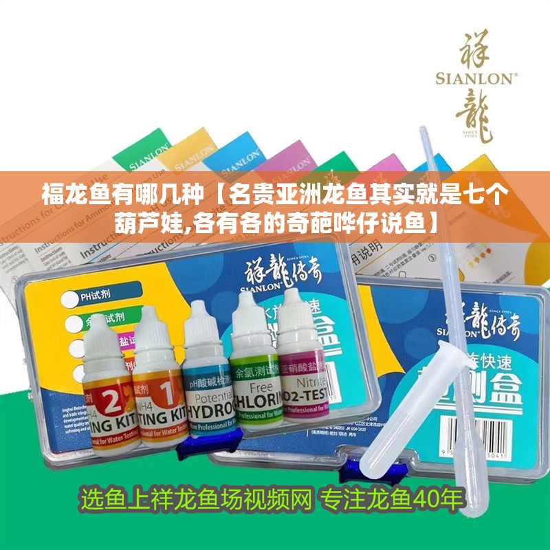 福龍魚有哪幾種【名貴亞洲龍魚其實就是七個葫蘆娃,各有各的奇葩嘩仔說魚】