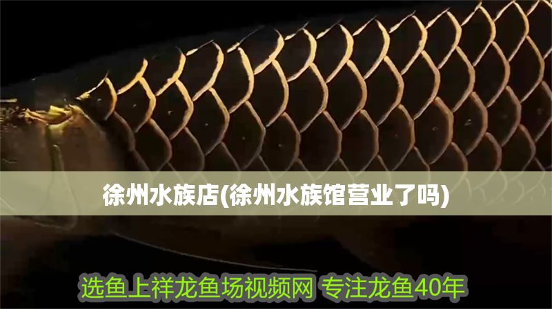 徐州水族店(徐州水族館營業(yè)了嗎)