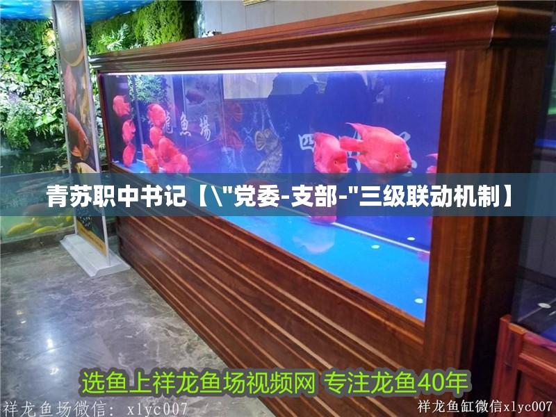 青蘇職中書記【\