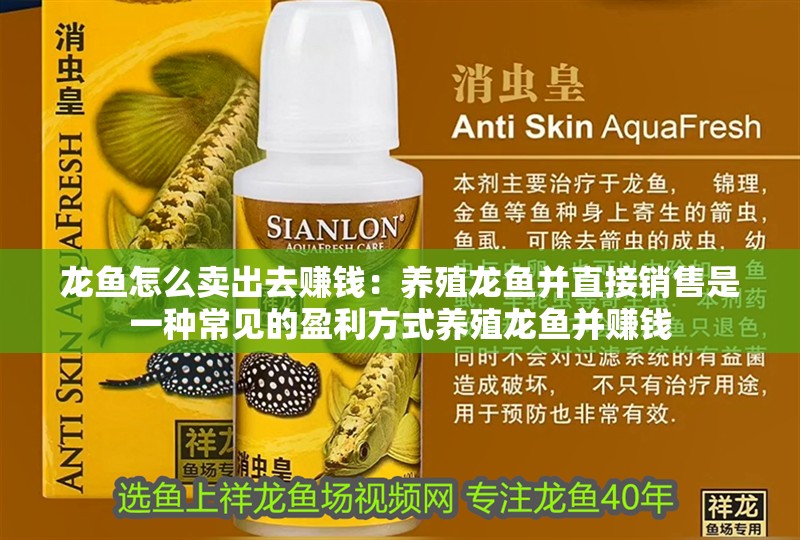 龍魚怎么賣出去賺錢：養殖龍魚并直接銷售是一種常見的盈利方式養殖龍魚并賺錢
