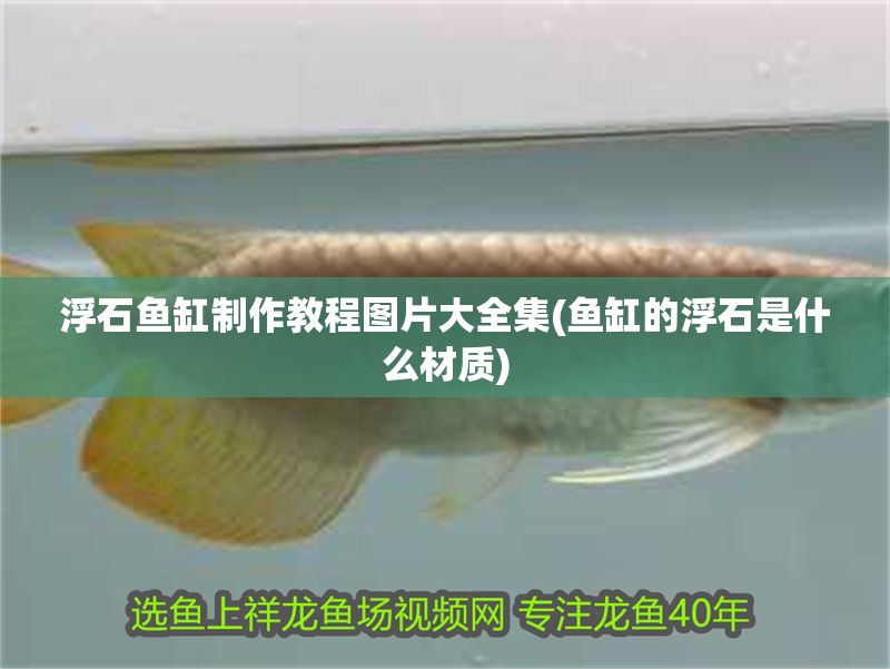 浮石魚(yú)缸制作教程圖片大全集(魚(yú)缸的浮石是什么材質(zhì))
