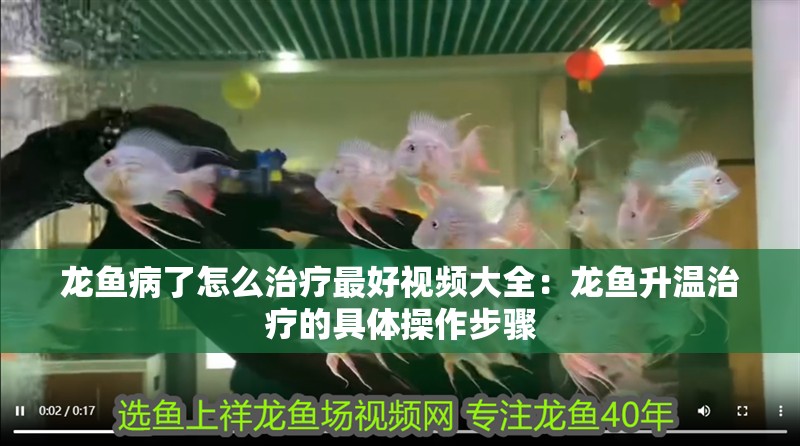 龍魚病了怎么治療最好視頻大全：龍魚升溫治療的具體操作步驟