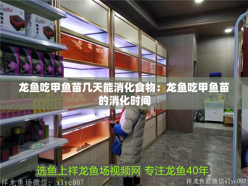 龍魚吃甲魚苗幾天能消化食物：龍魚吃甲魚苗的消化時間