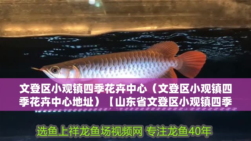 文登區(qū)小觀鎮(zhèn)四季花卉中心（文登區(qū)小觀鎮(zhèn)四季花卉中心地址）【山東省文登區(qū)小觀鎮(zhèn)四季花卉中心，享受大自然的美麗】 文登區(qū)小觀鎮(zhèn)四季花卉中心（文登區(qū)小觀鎮(zhèn)四季花卉中心地址）【山東省文登區(qū)小觀鎮(zhèn)四季花卉中心，享受大自然的美麗】 全國(guó)水族館企業(yè)名錄