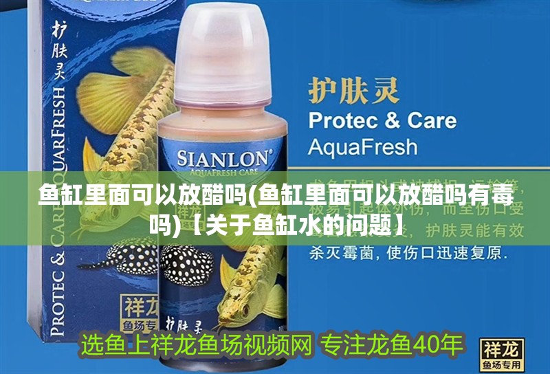 魚缸里面可以放醋嗎(魚缸里面可以放醋嗎有毒嗎)【關于魚缸水的問題】