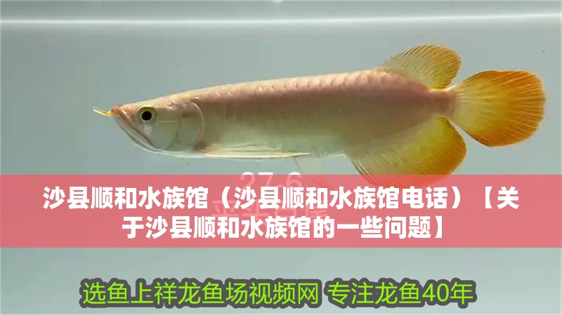 沙縣順和水族館（沙縣順和水族館電話）【關于沙縣順和水族館的一些問題】