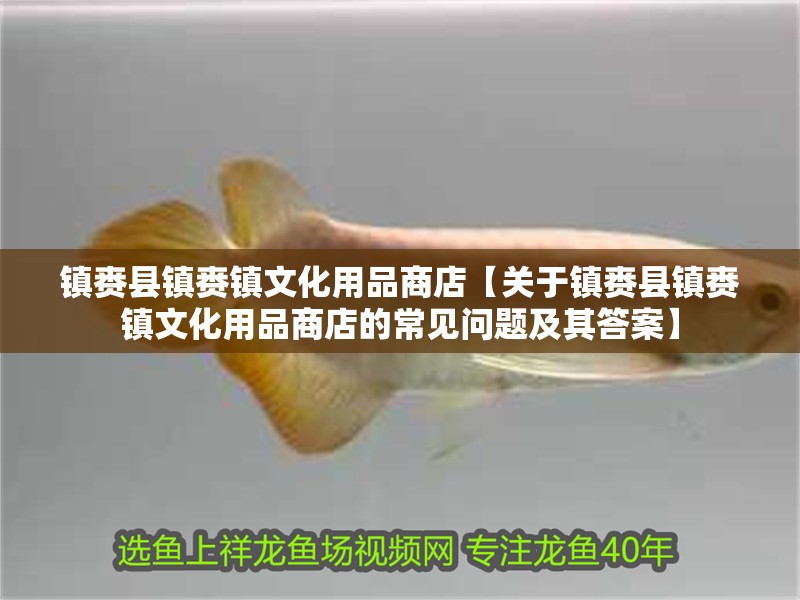 鎮賚縣鎮賚鎮文化用品商店【關于鎮賚縣鎮賚鎮文化用品商店的常見問題及其答案】