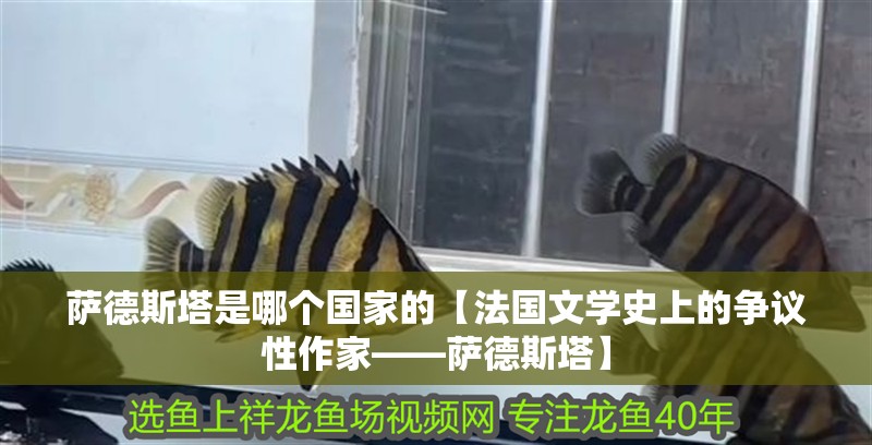 薩德斯塔是哪個國家的【法國文學史上的爭議性作家——薩德斯塔】