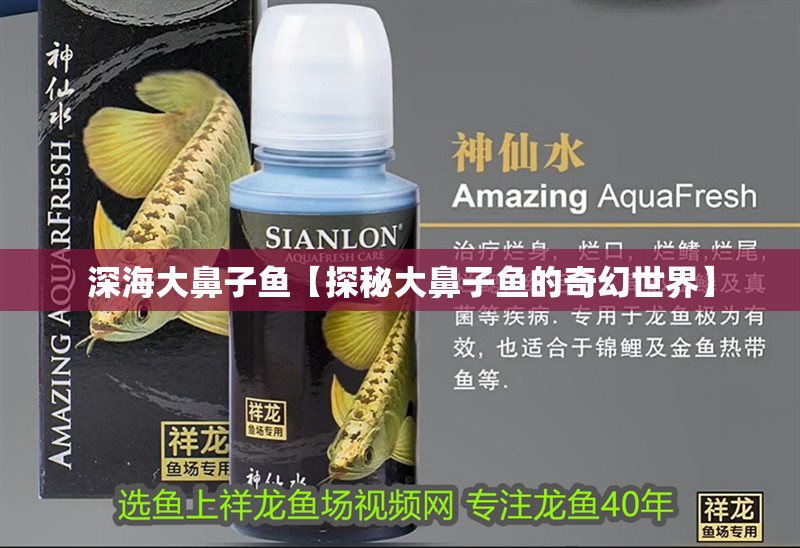 深海大鼻子魚【探秘大鼻子魚的奇幻世界】