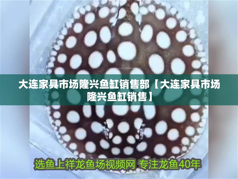 大連家具市場隆興魚缸銷售部【大連家具市場隆興魚缸銷售】