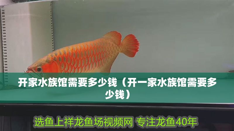 開家水族館需要多少錢（開一家水族館需要多少錢）