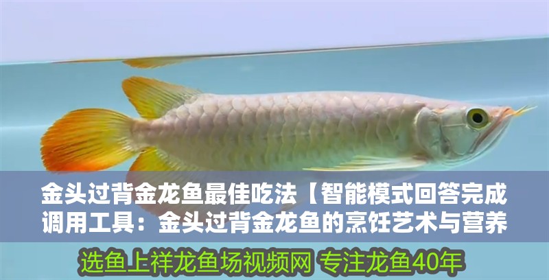 金頭過背金龍魚最佳吃法【智能模式回答完成調用工具：金頭過背金龍魚的烹飪藝術與營養探索】