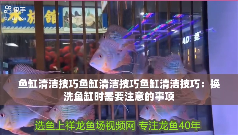 魚缸清潔技巧魚缸清潔技巧魚缸清潔技巧：換洗魚缸時(shí)需要注意的事項(xiàng)