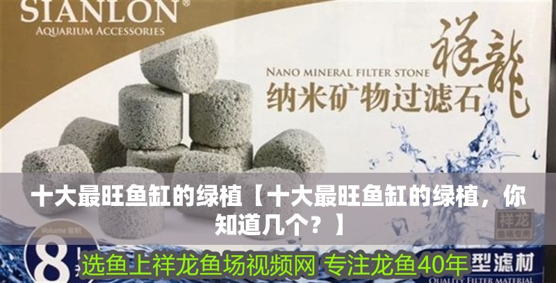 十大最旺魚缸的綠植【十大最旺魚缸的綠植，你知道幾個？】