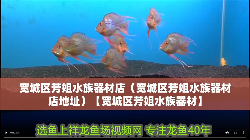 寬城區芳姐水族器材店（寬城區芳姐水族器材店地址）【寬城區芳姐水族器材】
