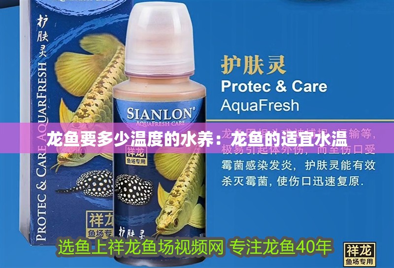 龍魚要多少溫度的水養：龍魚的適宜水溫