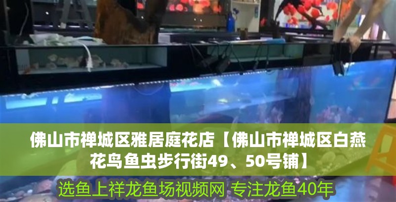 魚缸用增氧泵價格是多少:魚缸增氧機-xtrac增氧機-xtrac增氧機 佛山市禪城區雅居庭花店【佛山市禪城區白燕花鳥魚蟲步行街49、50號鋪】 全國水族館企業名錄 佛山市禪城區雅居庭花店【佛山市禪城區白燕花鳥魚蟲步行街49、50號鋪】 佛山市禪城區雅居庭花店【佛山市禪城區白燕花鳥魚蟲步行街49、50號鋪】 全國水族館企業名錄